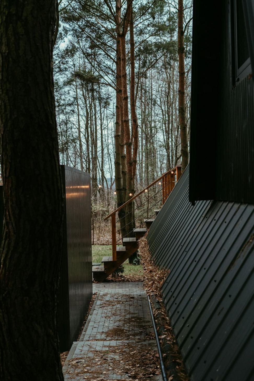 Lynn Valley Forest Home